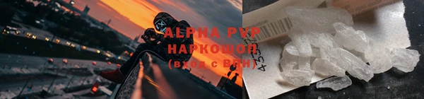 гидра Новокубанск