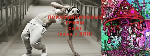 скорость Абаза