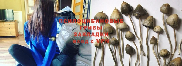 крисы Абдулино